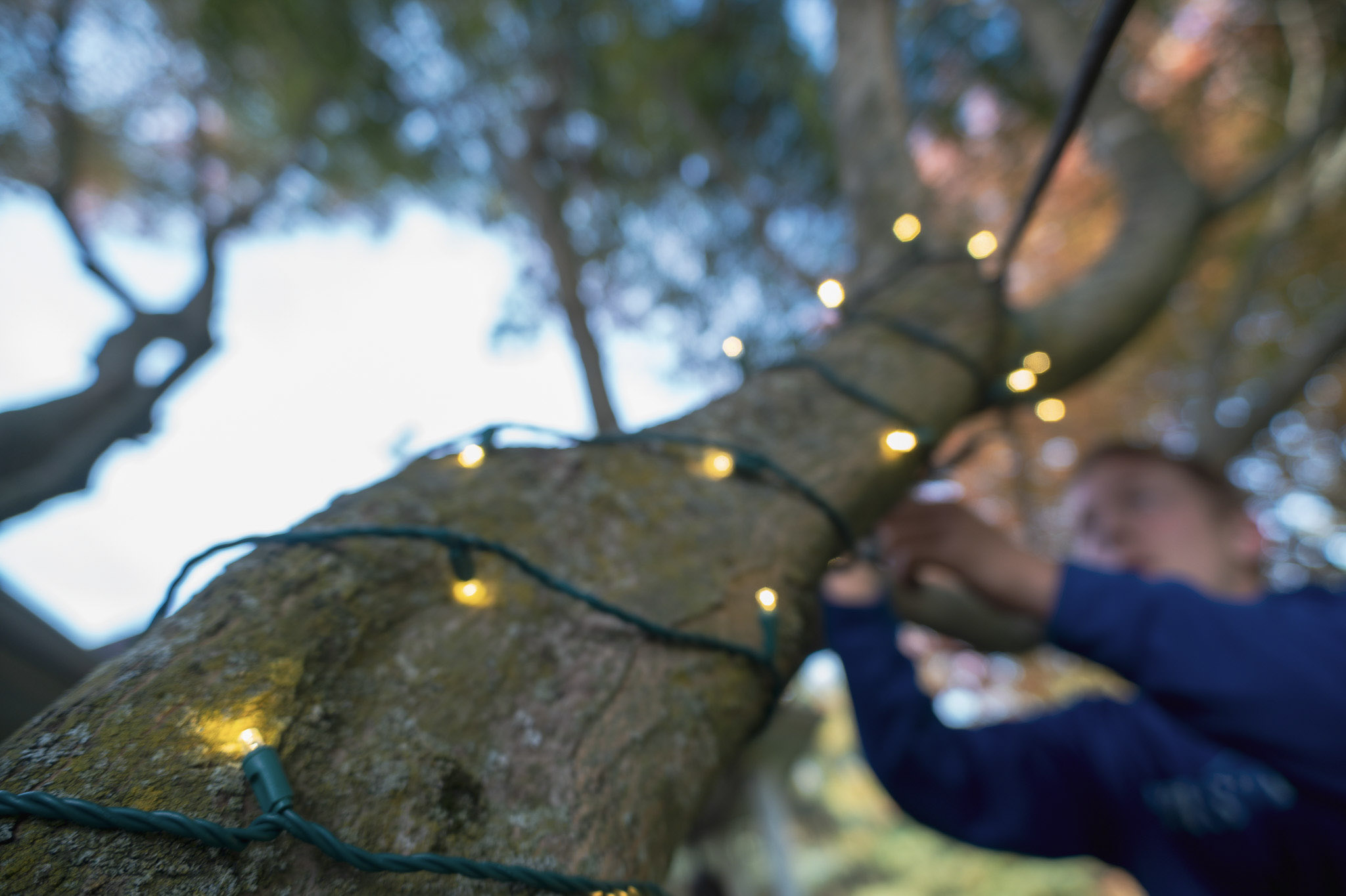 Professional holiday lighting on a West Michigan home rooftop